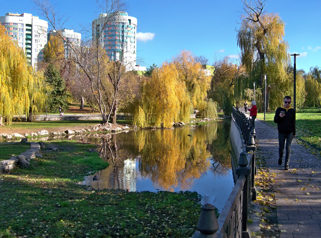Пейзажи  Гагаринского парка - Валентин Семчишин