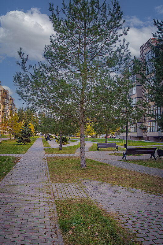 Городская зарисовка - Владимир Кроливец