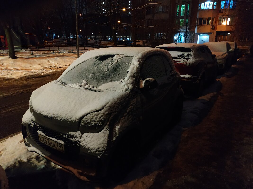 Зима по-московски - Андрей Лукьянов