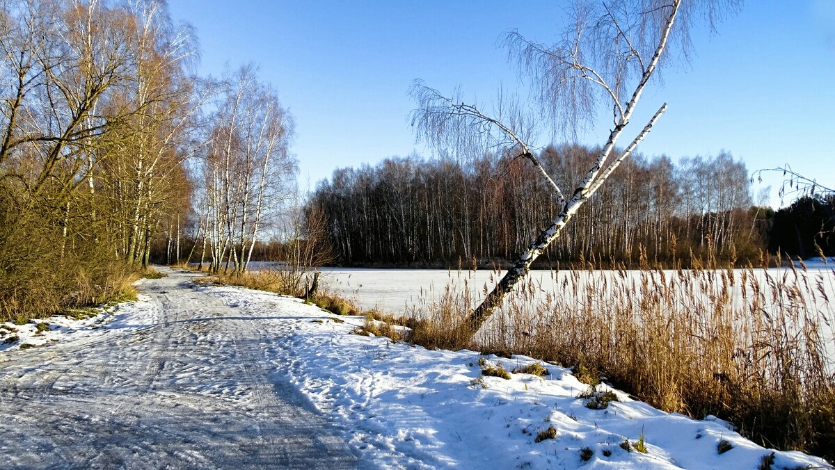 Зимний пейзаж. - Милешкин Владимир Алексеевич Зимний пейзаж. - Милешкин Владимир Алексеевич