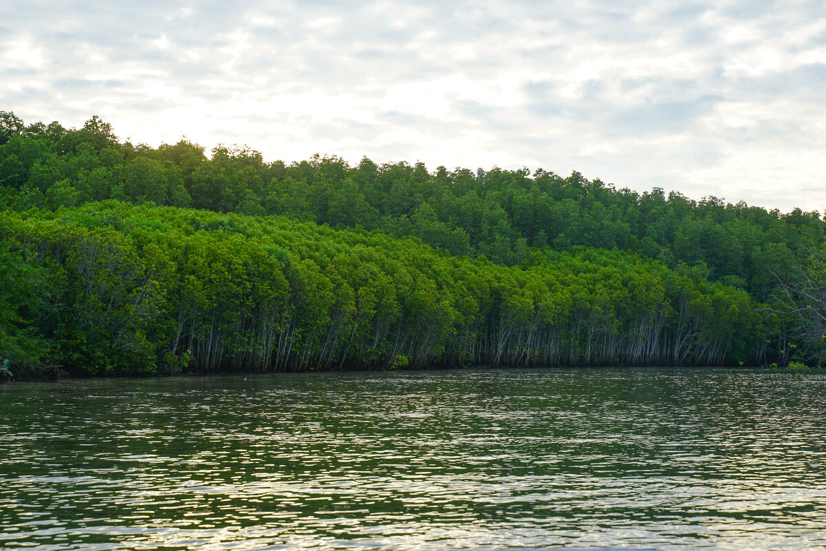 Прогулка по реке Пранбури - Иван Литвинов
