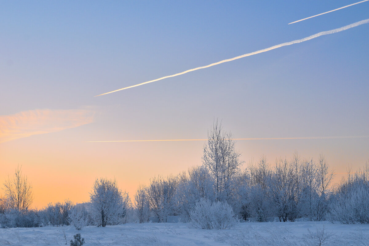 - - Владимир Мигонькин