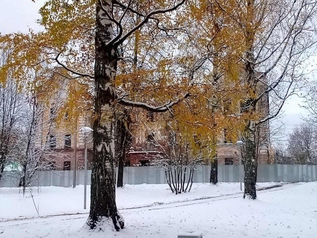 Зимний день в городе - Сергей Кочнев