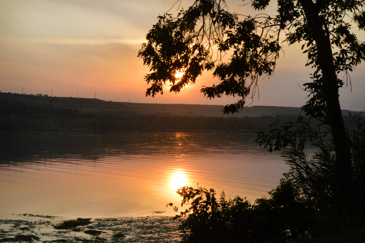 Раннее утро - Надежда Куркина
