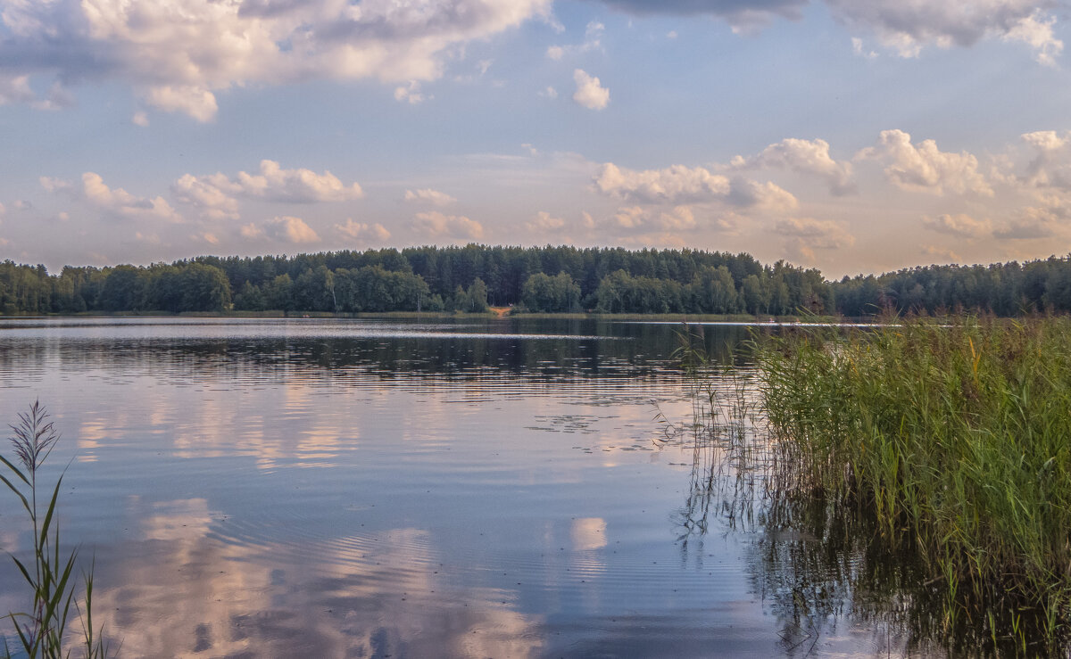 Озеро Черное,что в Покрове - Сергей Цветков