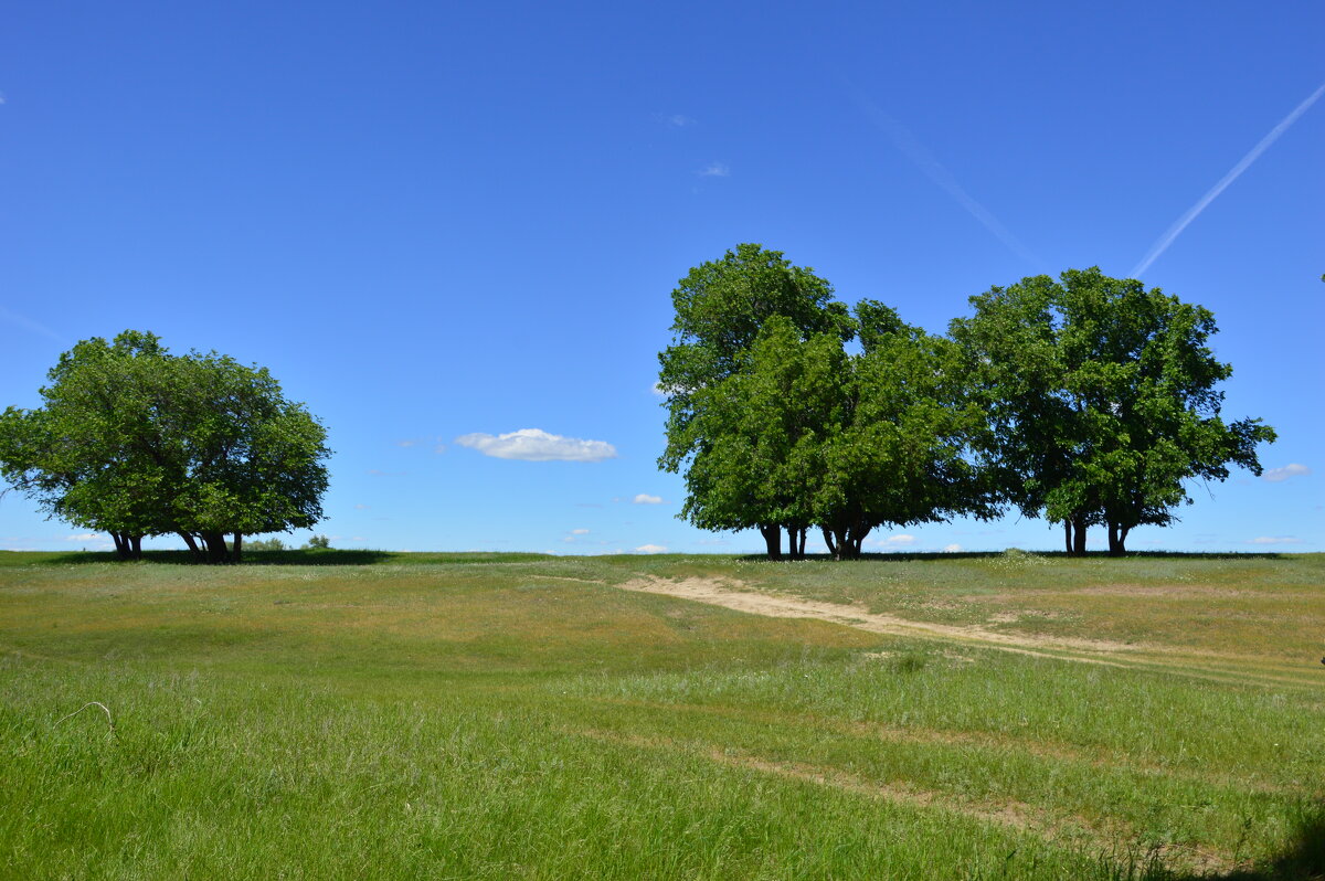 Донская степь. - Виктор Донская степь. - Виктор