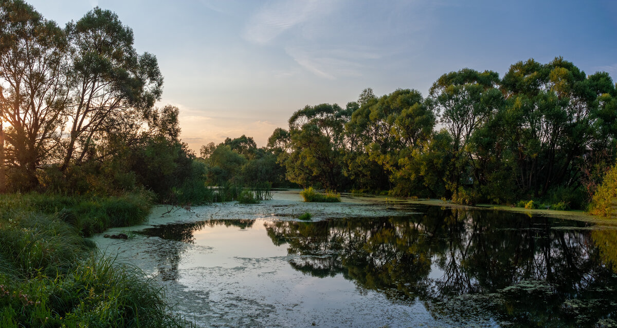 Тихий омут. - Alexandr Gunin Тихий омут. - Alexandr Gunin