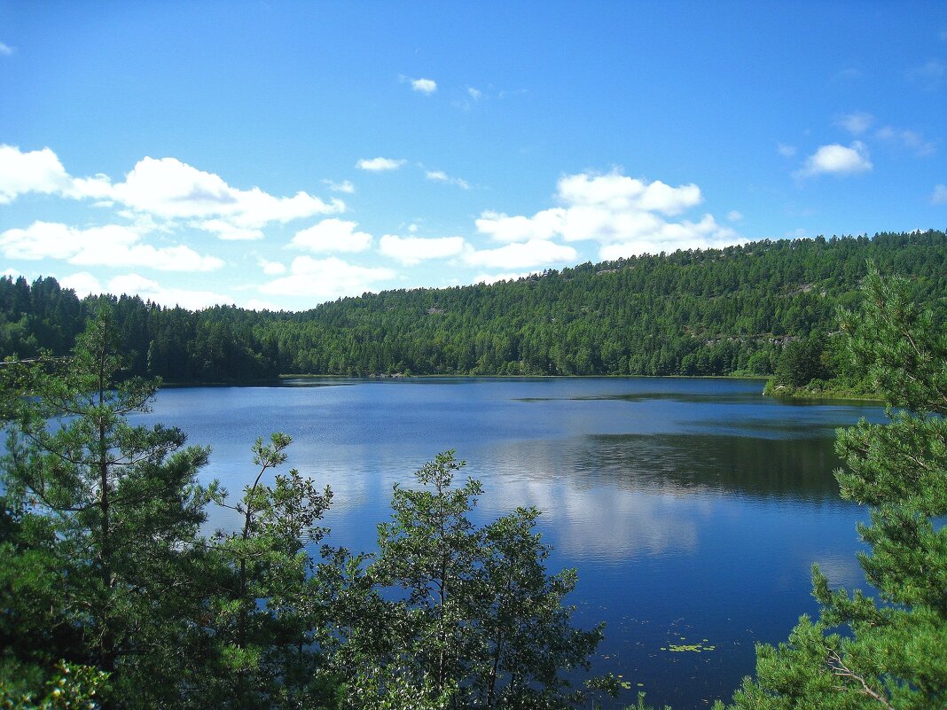 Кусочек Норвегии. - unix (Илья Утропов) Кусочек Норвегии. - unix (Илья Утропов)