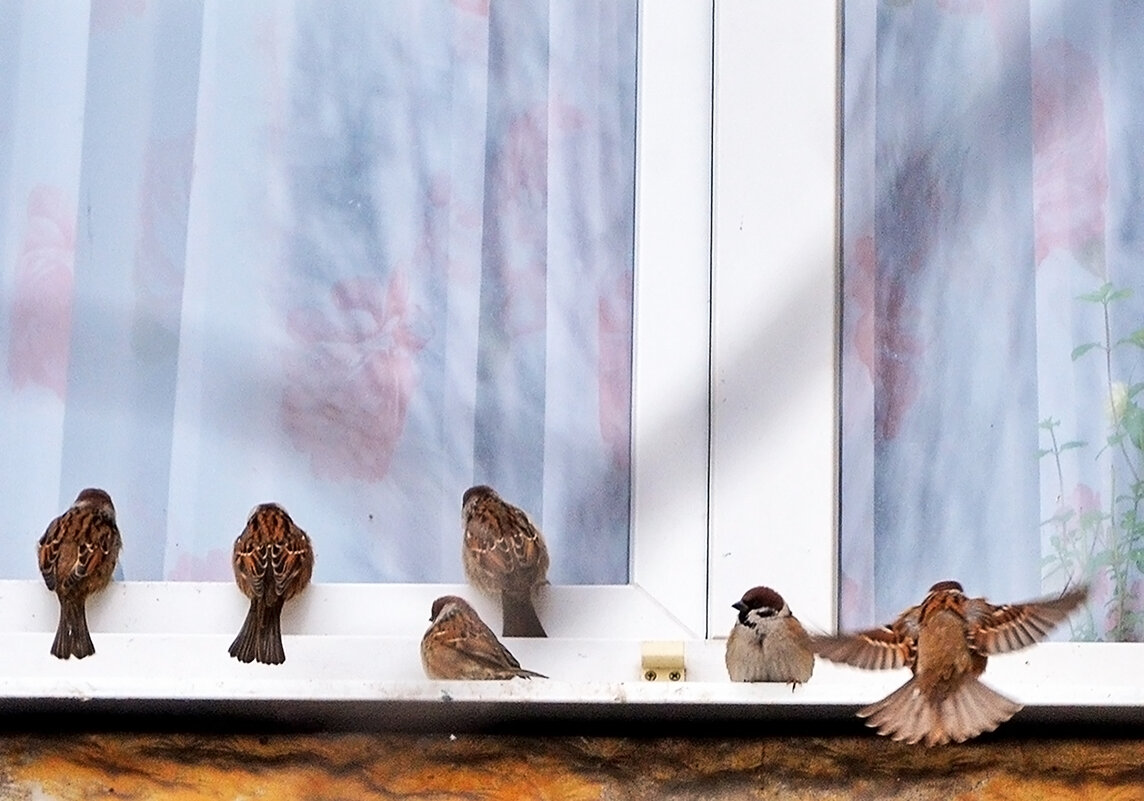 Ждём вкусненькое! - Валентина Нефёдова Ждём вкусненькое! - Валентина Нефёдова