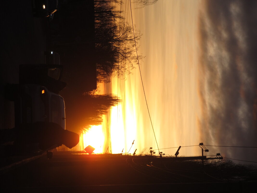 декабрь - Елена Шаламова