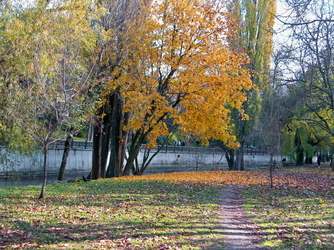 Осень  в парке - Валентин Семчишин