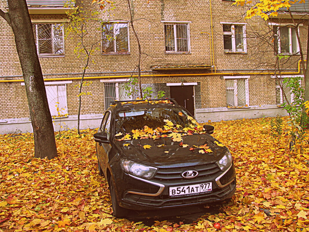 Осень. - Владимир Драгунский