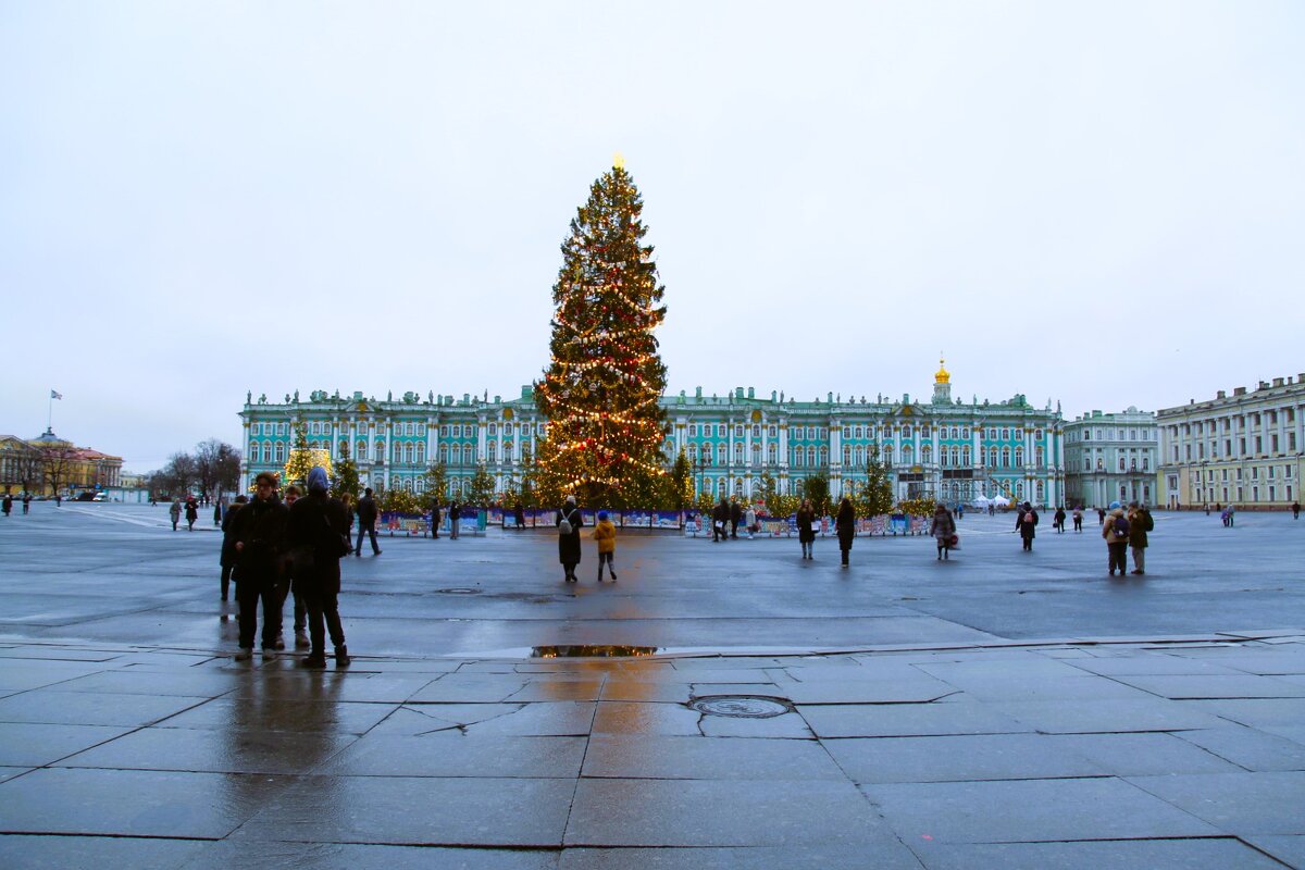 Елка на Дворцовой площади в Санкт-Петербурге - Танзиля Завьялова