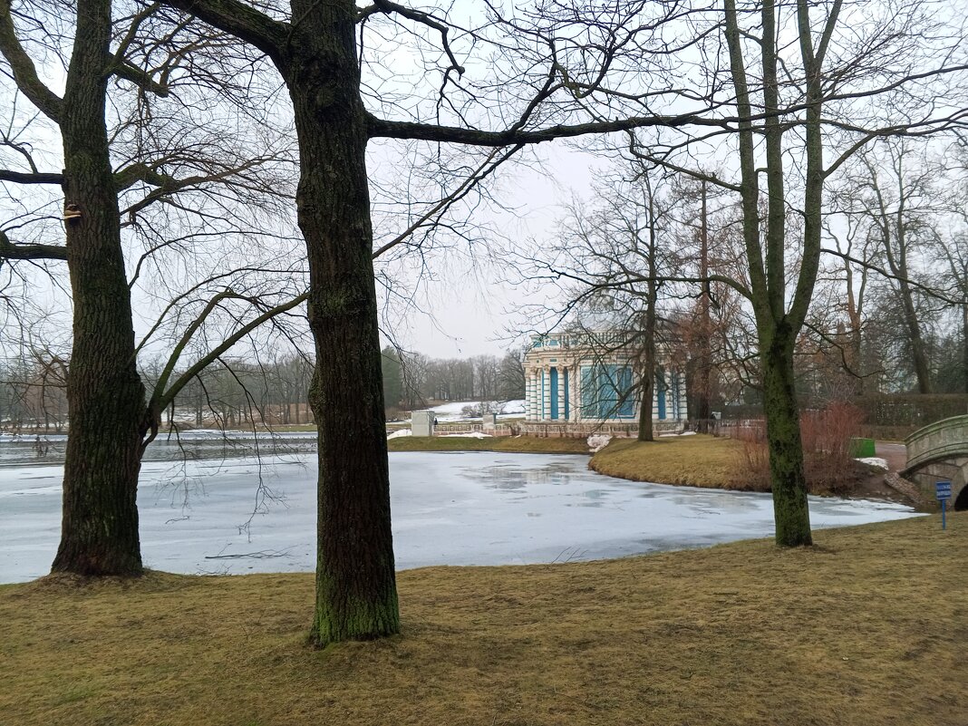 Туман - Сапсан 