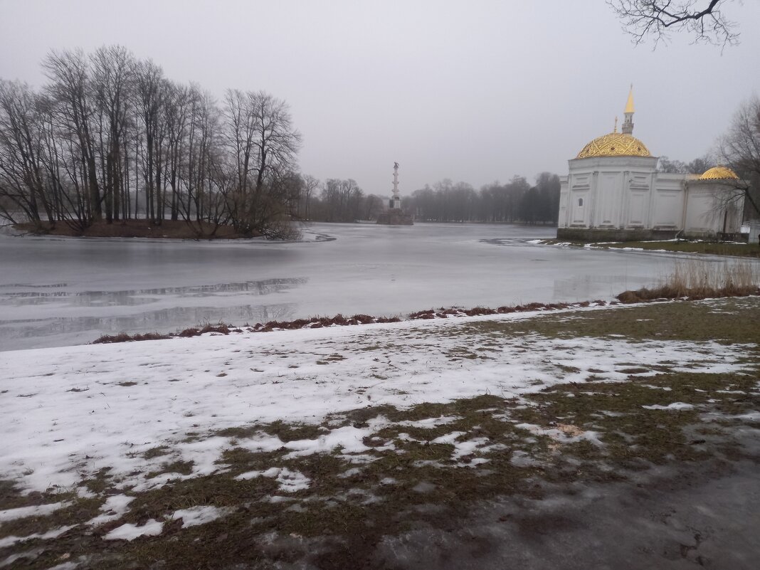 Туман - Сапсан 