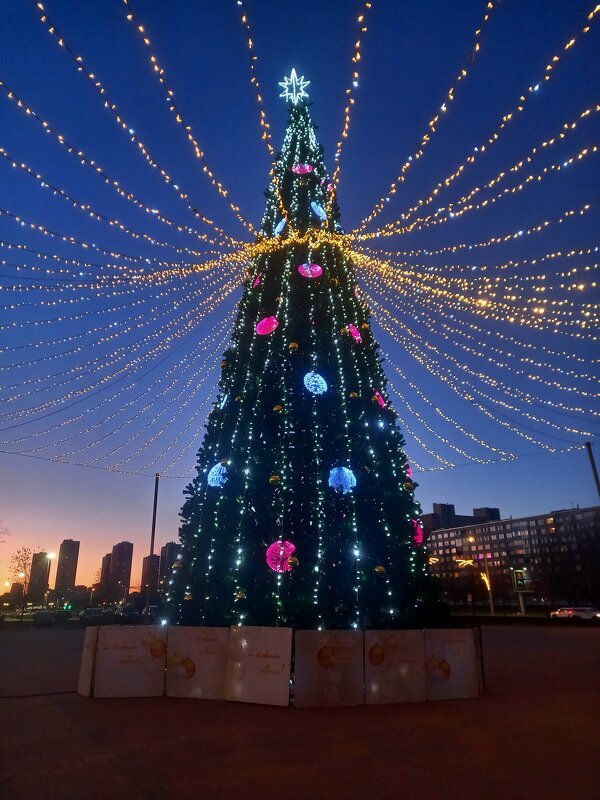 Ёлка - Сапсан 