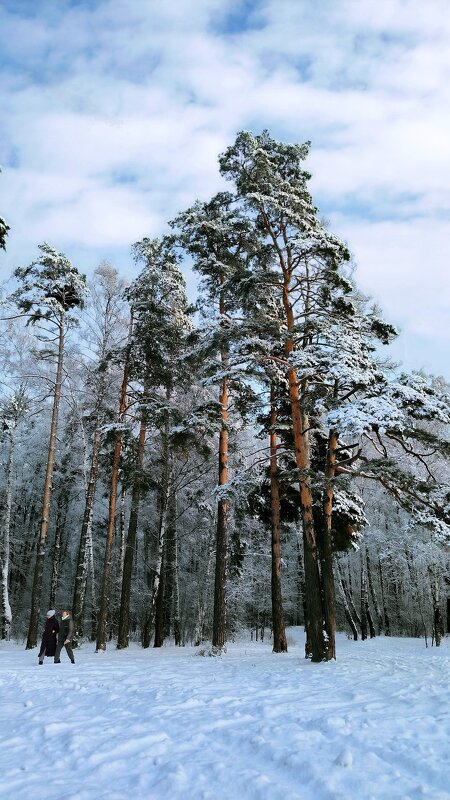 31 декабря - Тамара Вебер