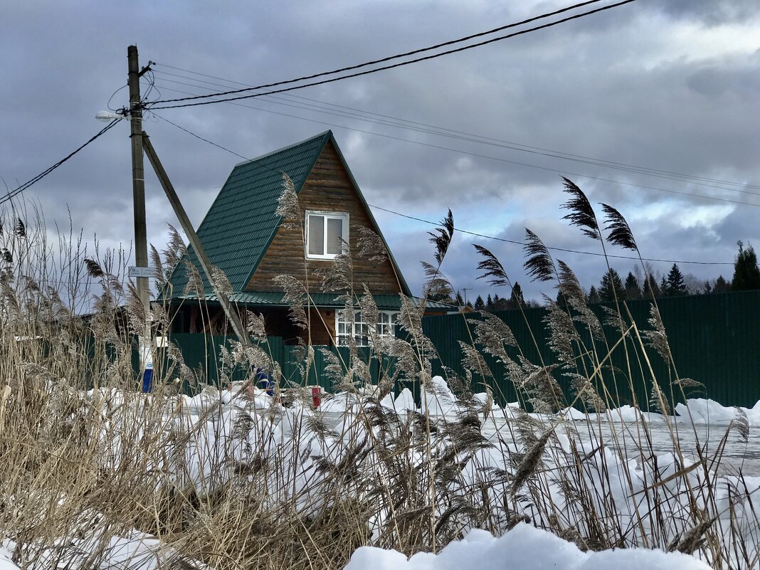 Дачный пейзаж - Любовь 