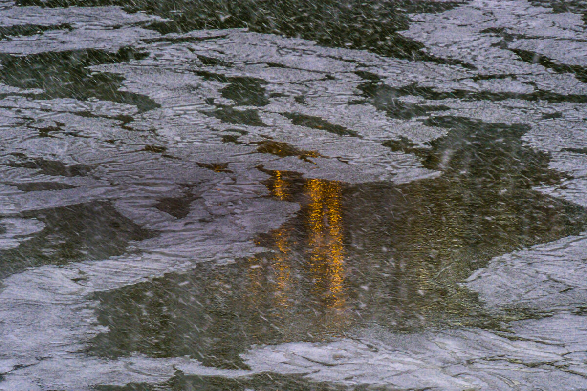 Жизнь в под водой - Георгий А Жизнь в под водой - Георгий А