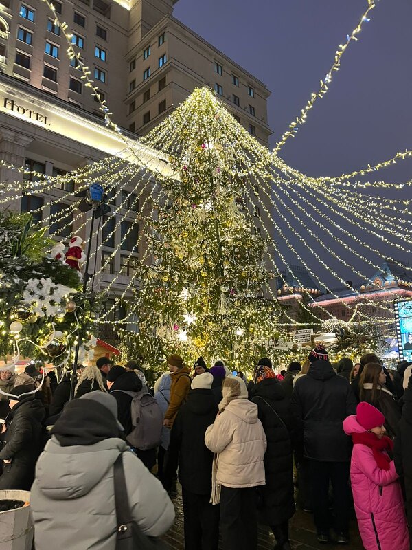 Новогодняя Москва - Ирэн 