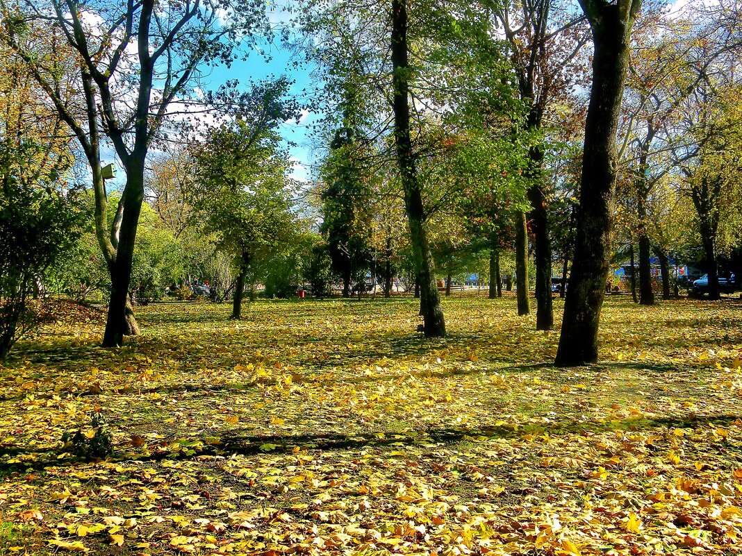 Осень в городе - Роман Савоцкий