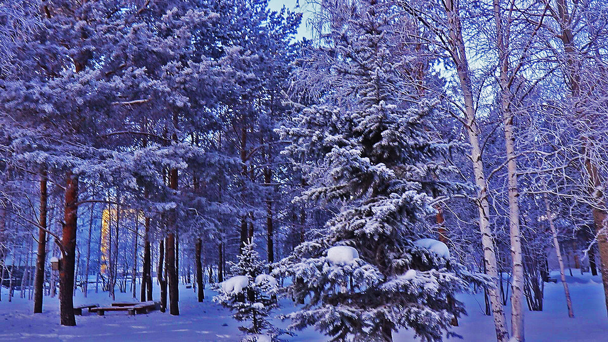 Январь...Новогоднее, снежно-морозное! - Владимир 