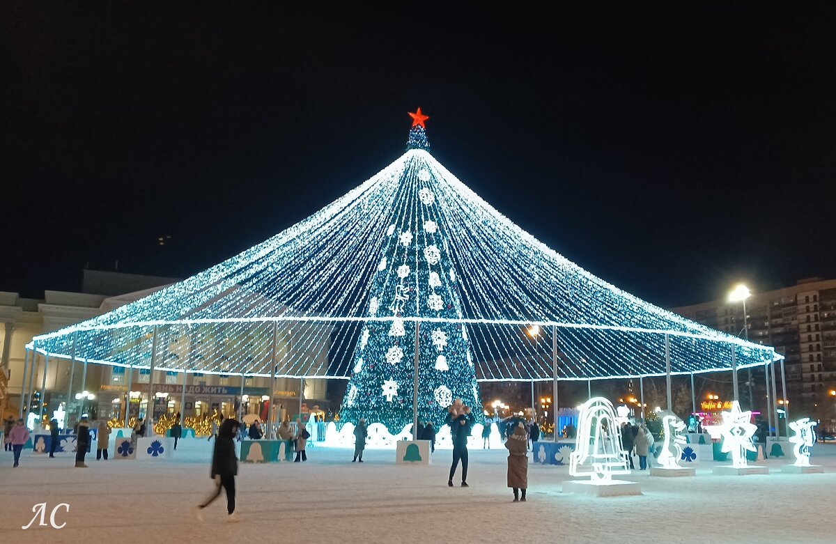 Одна из ёлок Тюмени - Любовь Сахарова