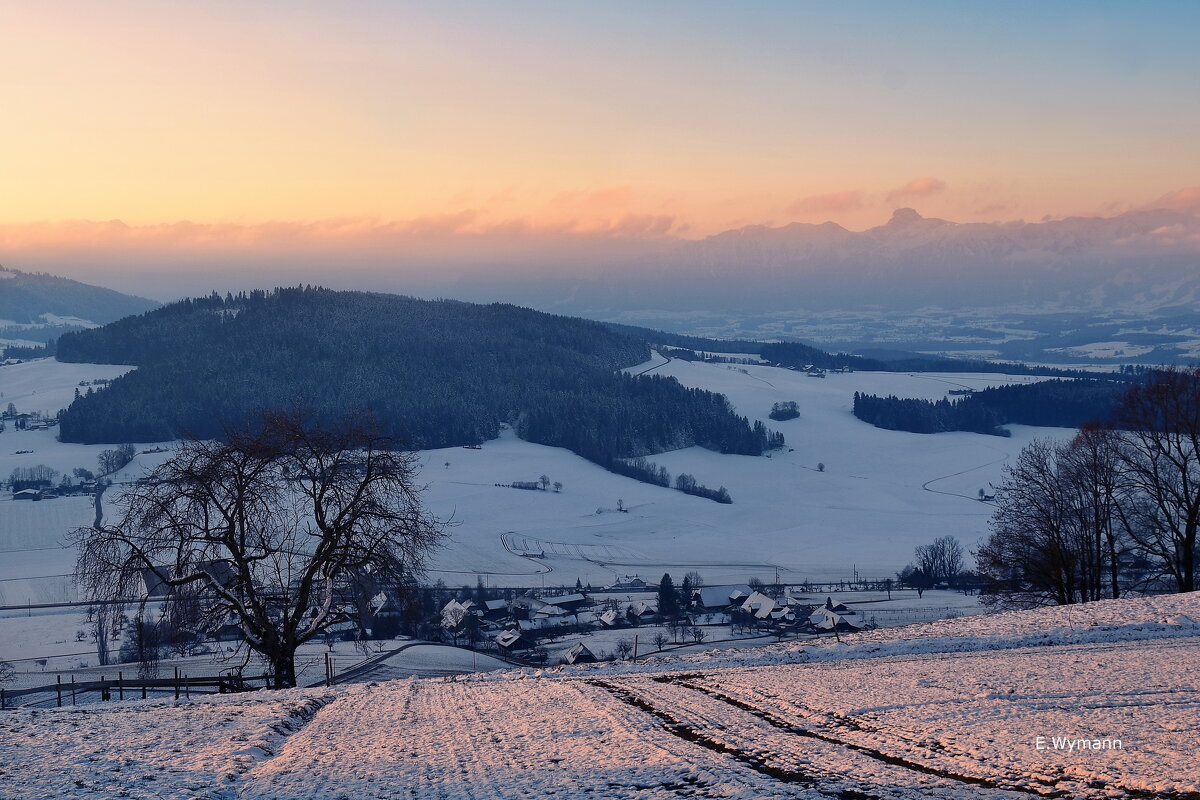 winter morning - Elena Wymann