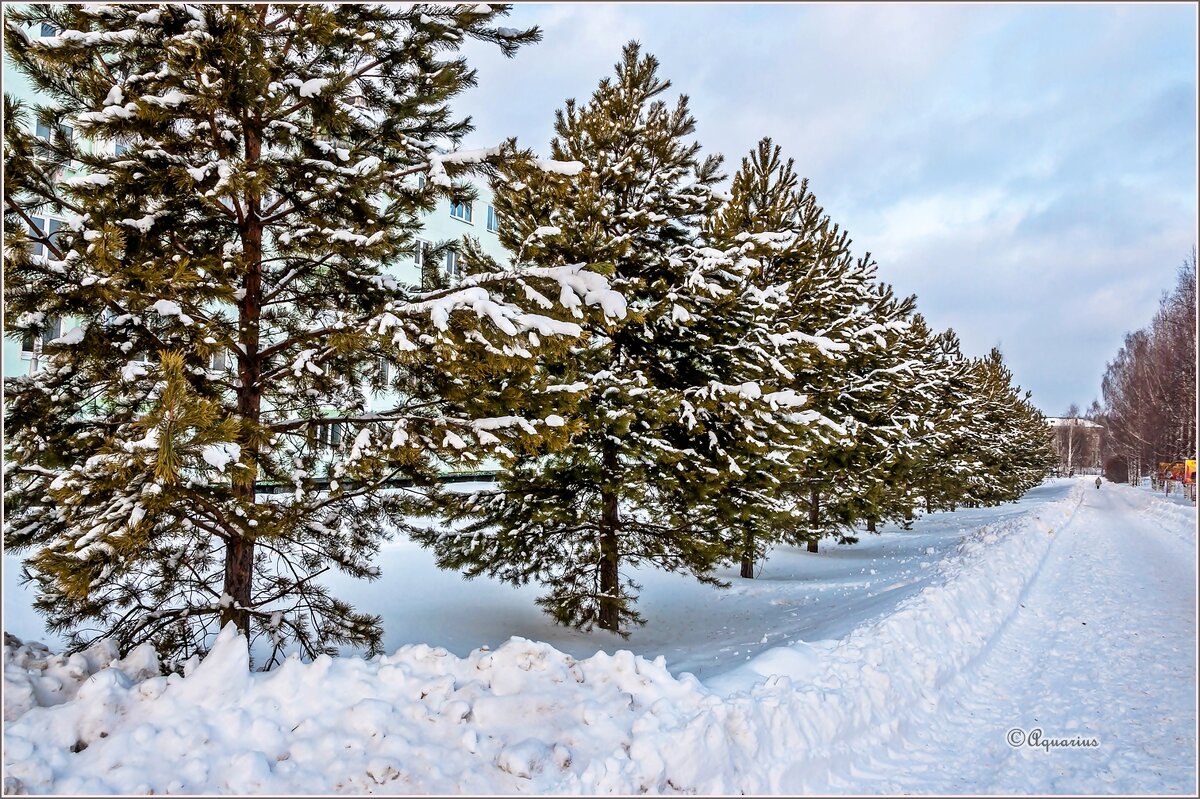 Январь... - Aquarius - Сергей Январь... - Aquarius - Сергей