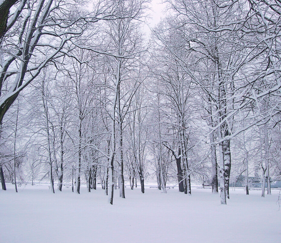 *** - Сергей Григорьев
