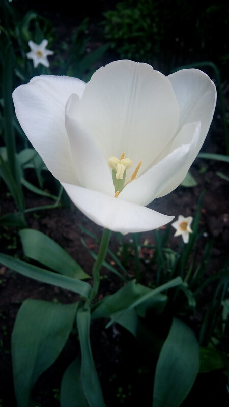 ,,, - Сергей Тимоновский ,,, - Сергей Тимоновский