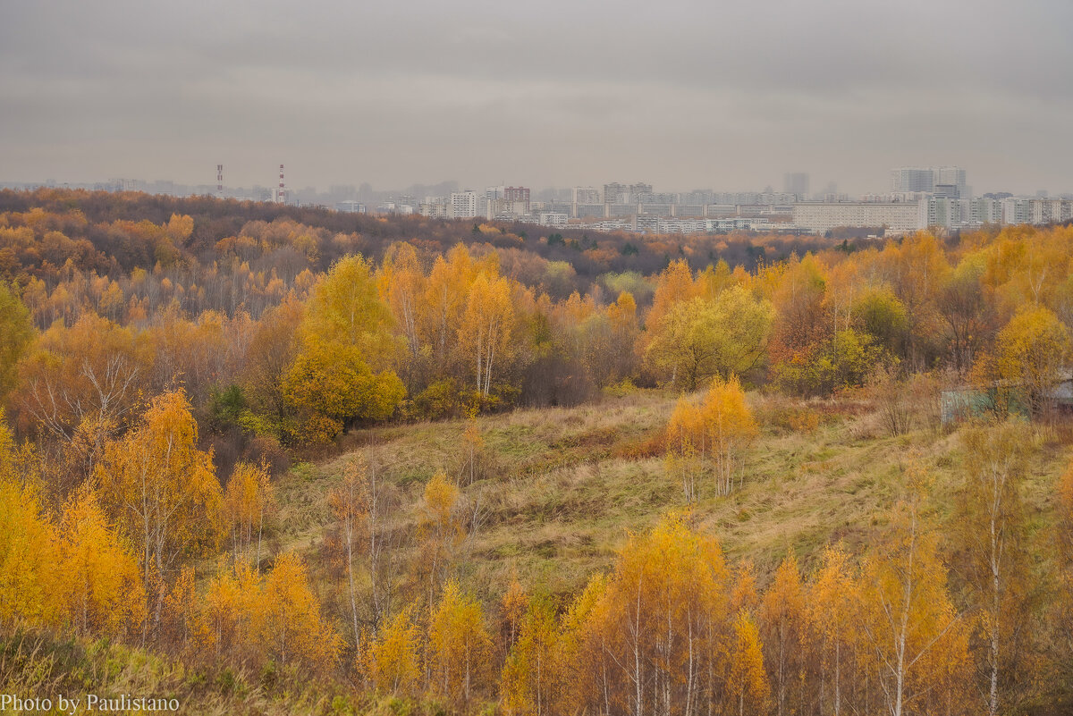 Московская осень... - Владимир Жданов