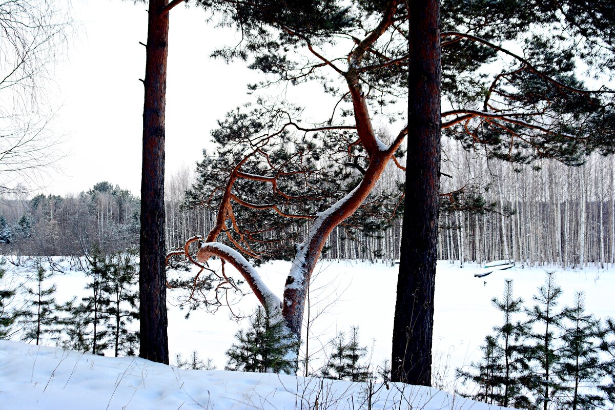 *** - Александр 