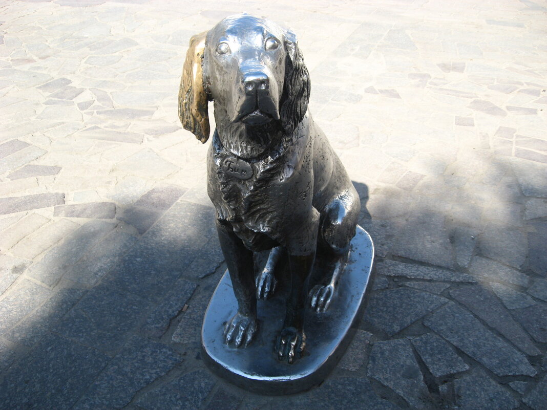 Бим - Андрей Л. В. Бим - Андрей Л. В.