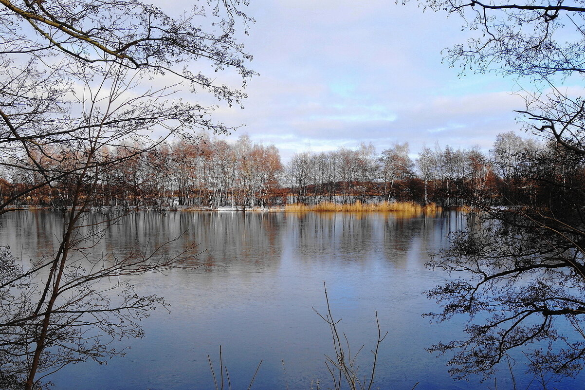 Январь, окрестности Калининграда - Рита Симонова