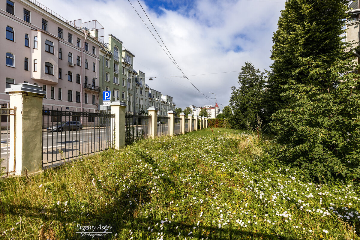 С фотокамерой по Петербургу - Евгений 