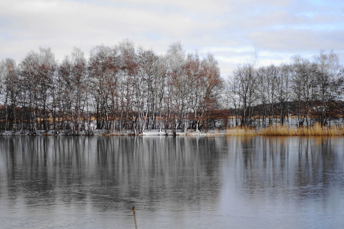 Январь, окрестности Калининграда - Рита Симонова Январь, окрестности Калининграда - Рита Симонова