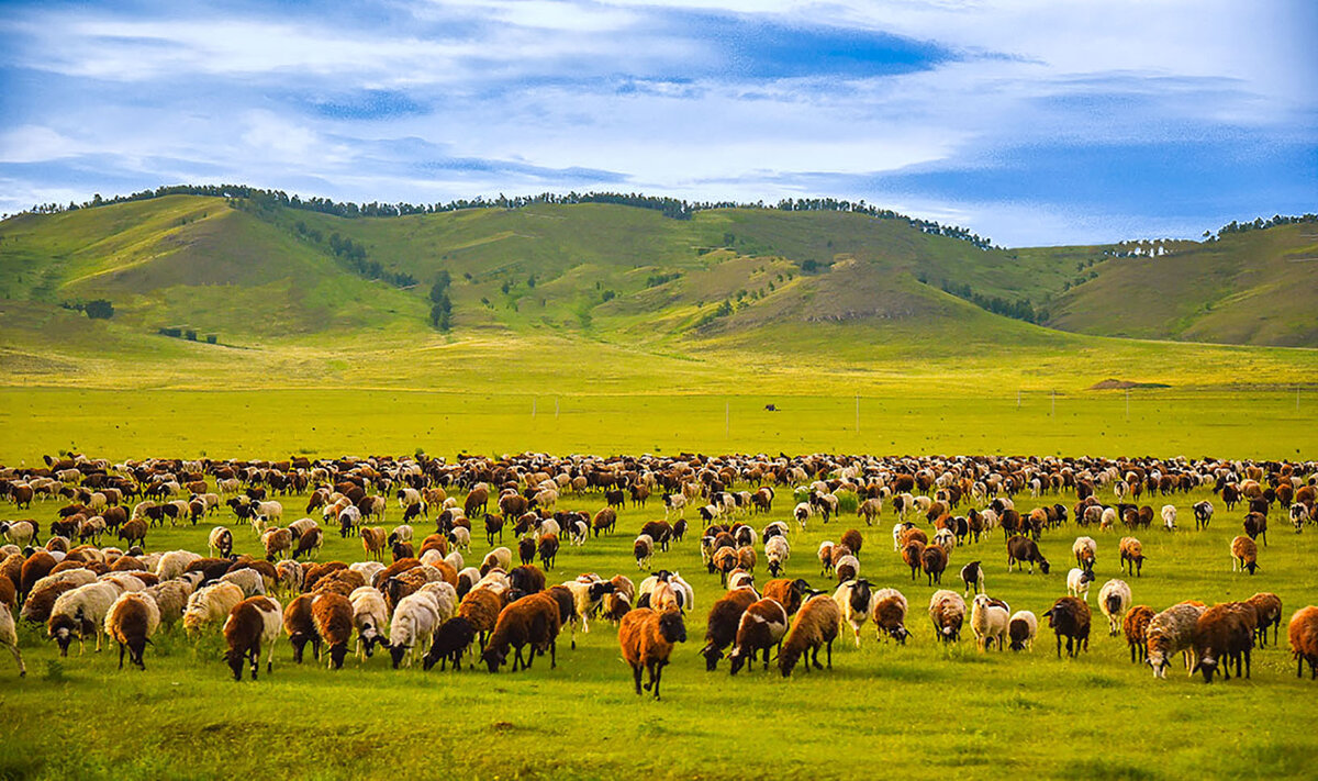 На выпосах. - юрий Амосов На выпосах. - юрий Амосов