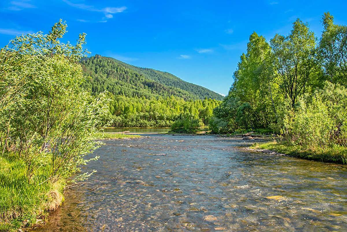 Маленькая река. - юрий Амосов