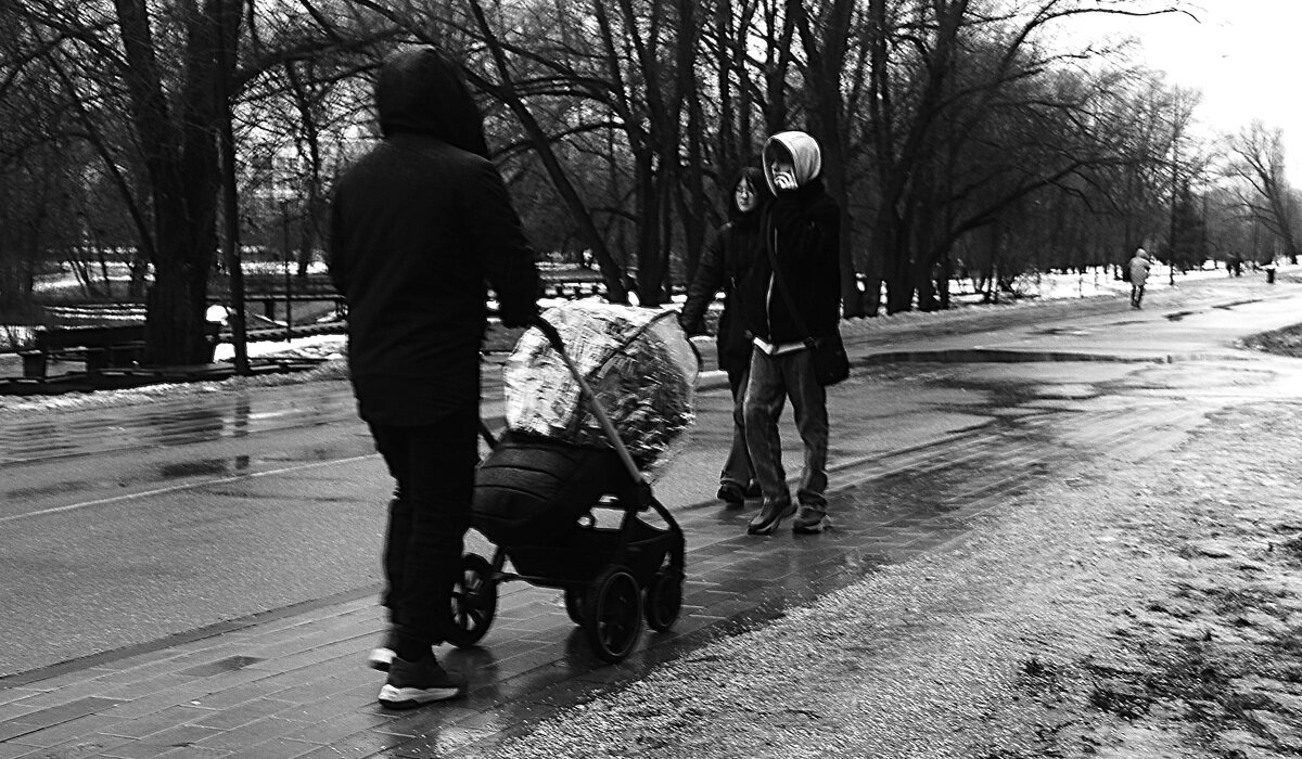 Тёплый хмурый январь 2025-го. - Василий Палий Тёплый хмурый январь 2025-го. - Василий Палий