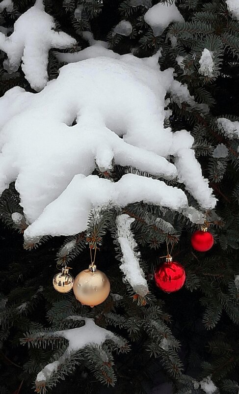 Шарики - Наталья Герасимова Шарики - Наталья Герасимова