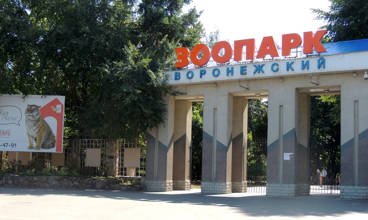 Zoo - Андрей Л. В. Zoo - Андрей Л. В.