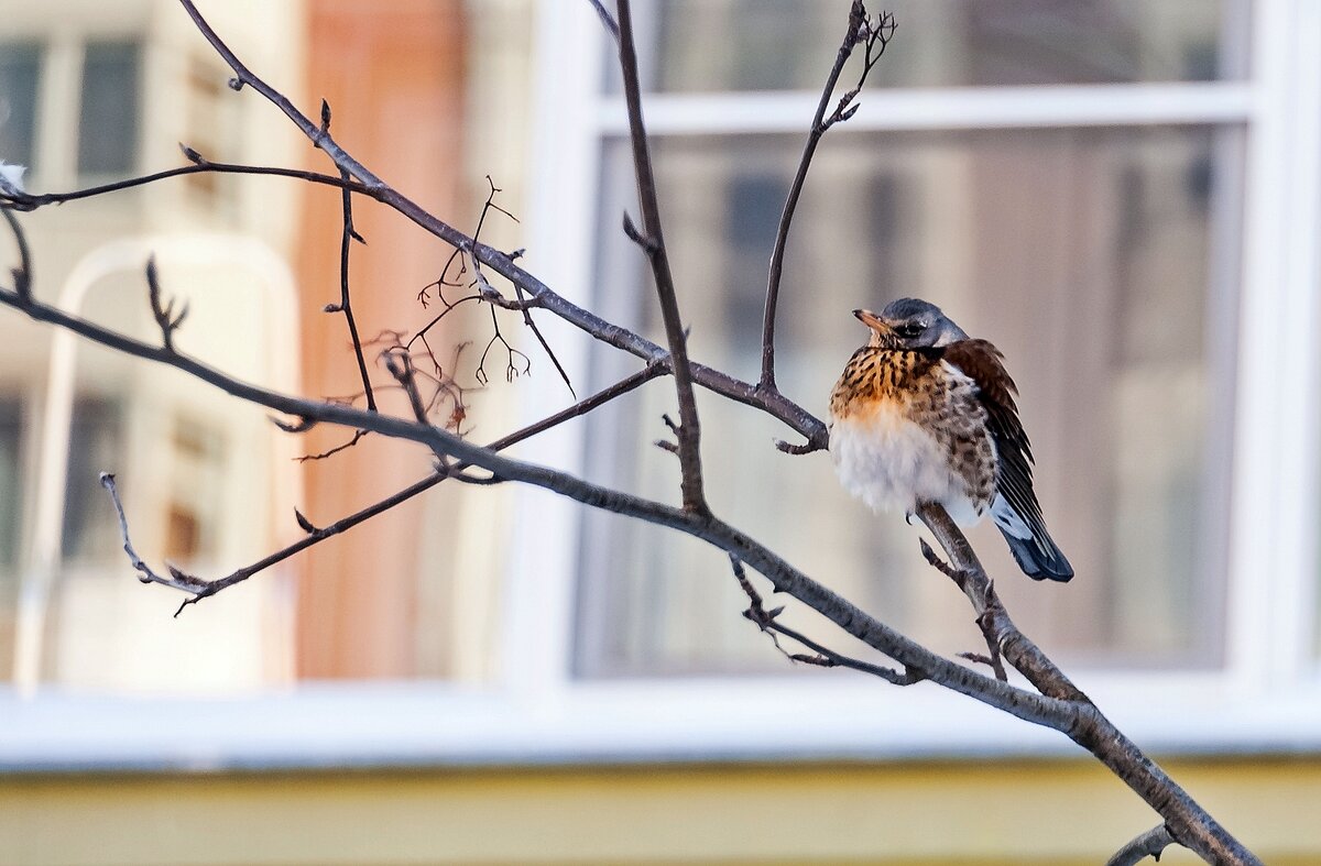 Не успел - Валерий Иванович Не успел - Валерий Иванович