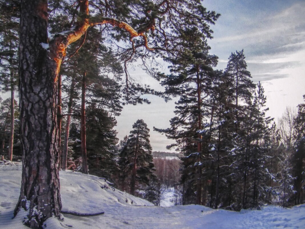 На обрыве - Людмила Смородинская