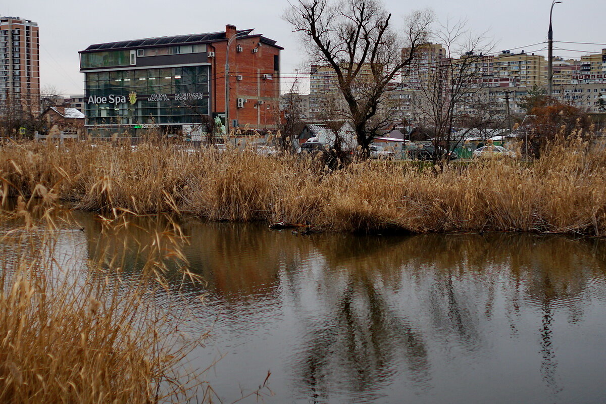 Городское озеро... - Николай Саржанов Городское озеро... - Николай Саржанов
