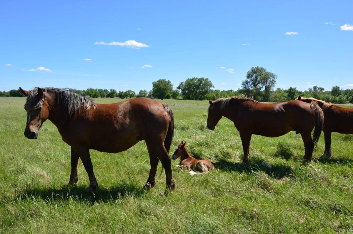 Под охраной. - Виктор 