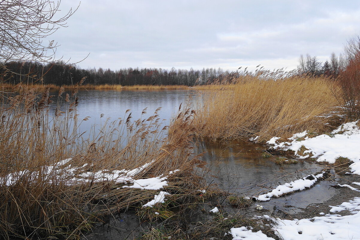 Январь, окрестности Калининграда - Рита Симонова Январь, окрестности Калининграда - Рита Симонова