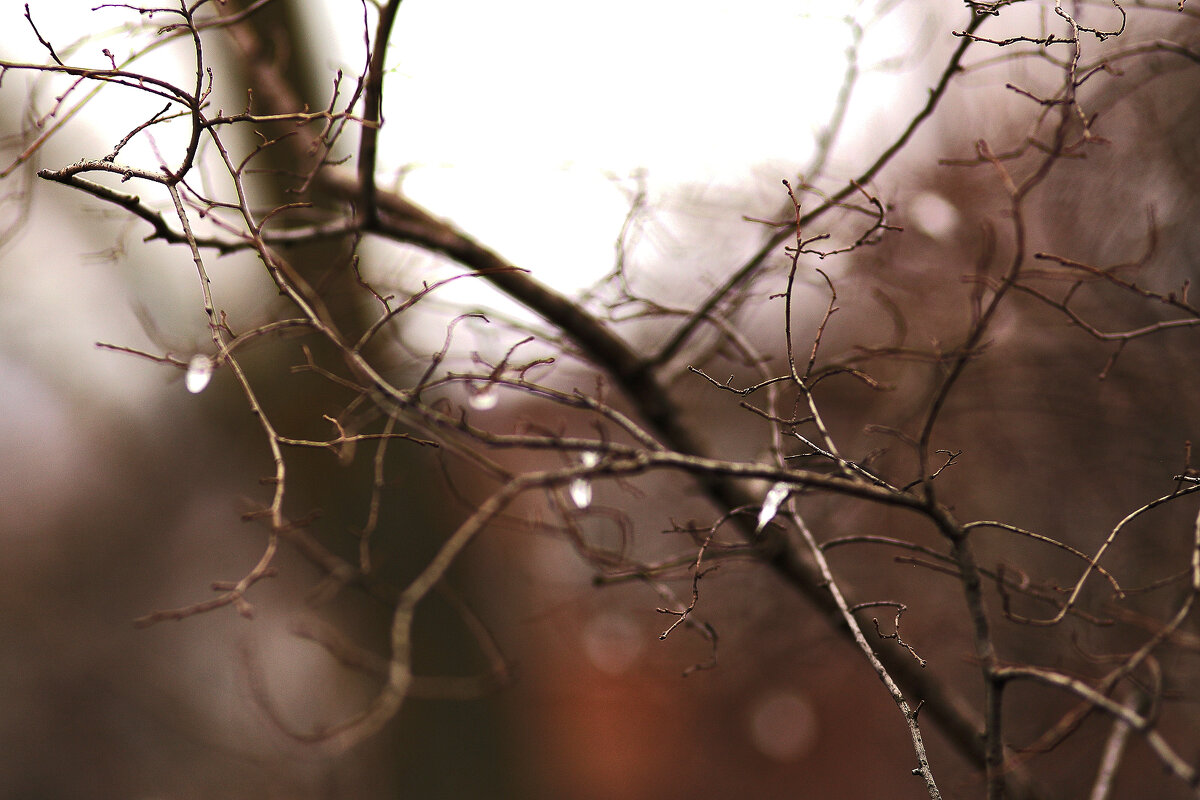 От снега - одни воспоминания - Юрий Гайворонскiий