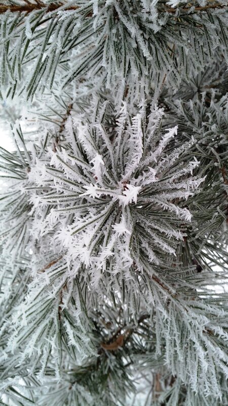 ,,, - Сергей Тимоновский ,,, - Сергей Тимоновский