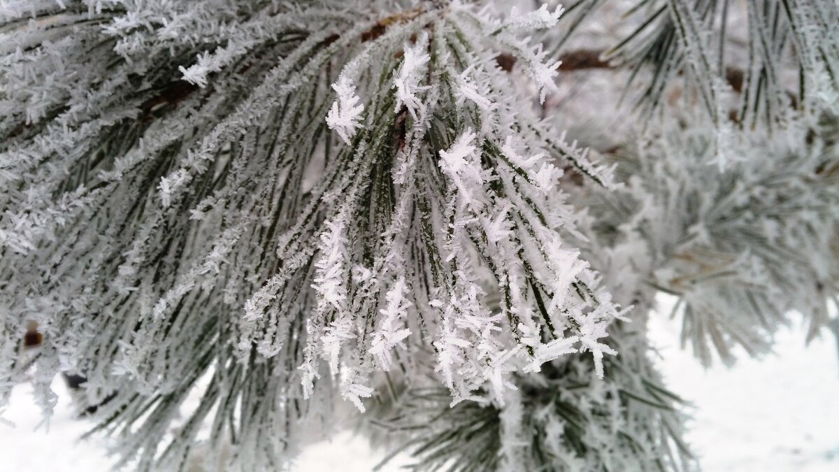 ,,, - Сергей Тимоновский ,,, - Сергей Тимоновский